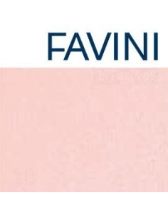 CARTONCINO FAVINI 70x100 220 gr. L/R ROSA (10 ff)