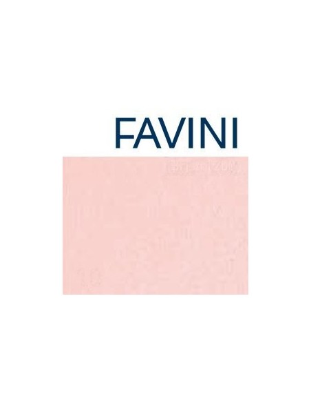 CARTONCINO FAVINI 70x100 220 gr. L/R ROSA (10 ff)