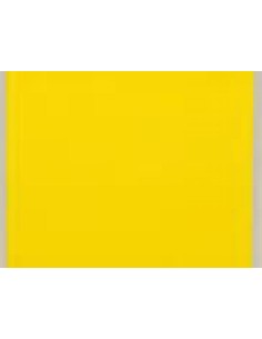 CARTONCINO FAVINI 70x100 220 gr. L/R RUBINO (10 ff)