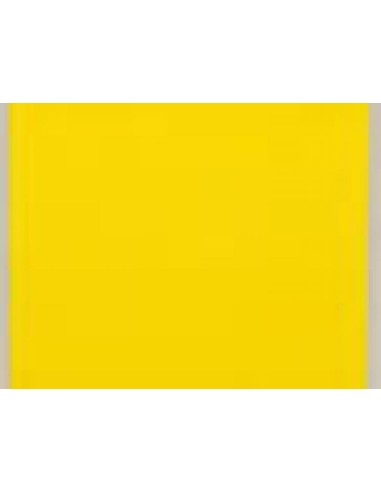 CARTONCINO FAVINI 70x100 220 gr. L/R RUBINO (10 ff)