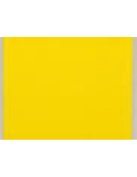 CARTONCINO FAVINI 70x100 220 gr. L/R RUBINO (10 ff)