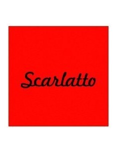 CARTONCINO FAVINI 70x100 220 gr. L/R SCARLATTO (10 ff)
