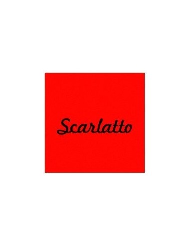 CARTONCINO FAVINI 70x100 220 gr. L/R SCARLATTO (10 ff)