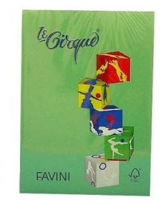 CARTA A4 FAVINI VERDE BANDIERA 80 gr. (500 fg)