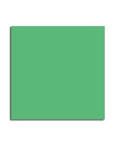 CARTONCINO 70x100 VERDE BRILLANTE (25 Pz)