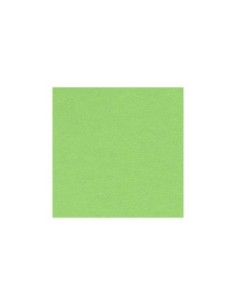 CARTONCINO 50x70 VERDE MELA (25 ff)