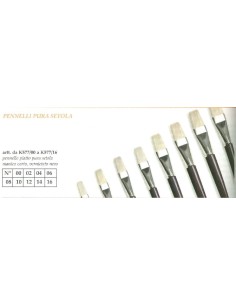 PENN. PIATTO PURA SETOLA N. 14 (12 Pz)