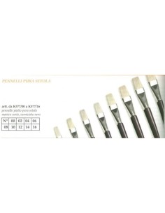 PENN. PIATTO PURA SETOLA M.CORTO 12 Pz