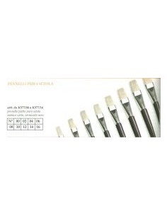 PENN. PIATTO PURA SETOLA M.CORTO 12 Pz