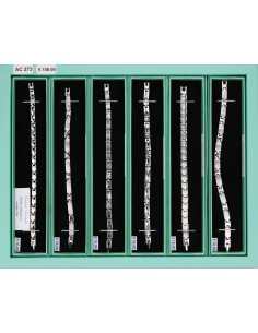 EXPO Bracciali (6 Pz)
