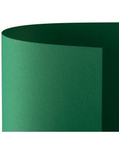 CARTONCINO FAVINI 50x70 220 gr. L/R VERDE (20 ff)