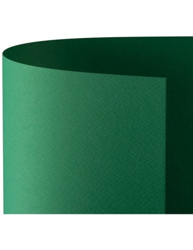 CARTONCINO FAVINI 50x70 220 gr. L/R VERDE (20 ff)