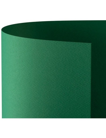CARTONCINO FAVINI 50x70 220 gr. L/R VERDE (20 ff)