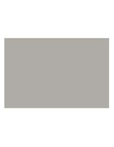 CARTONCINO FAVINI 50x70 220 gr. L/R PIETRA (20 ff)