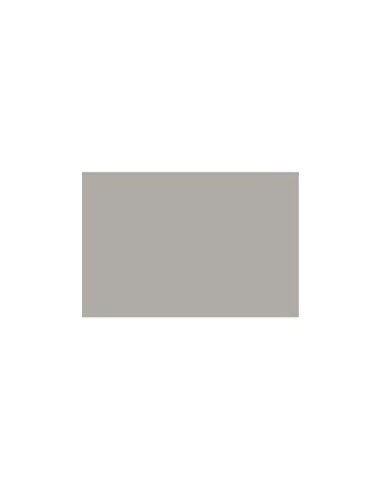 CARTONCINO FAVINI 50x70 220 gr. L/R PIETRA (20 ff)